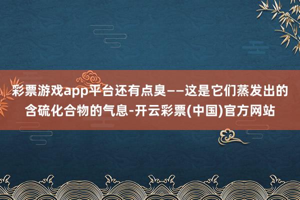 彩票游戏app平台还有点臭——这是它们蒸发出的含硫化合物的气息-开云彩票(中国)官方网站