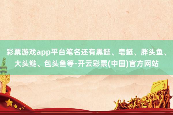 彩票游戏app平台笔名还有黑鲢、皂鲢、胖头鱼、大头鲢、包头鱼等-开云彩票(中国)官方网站