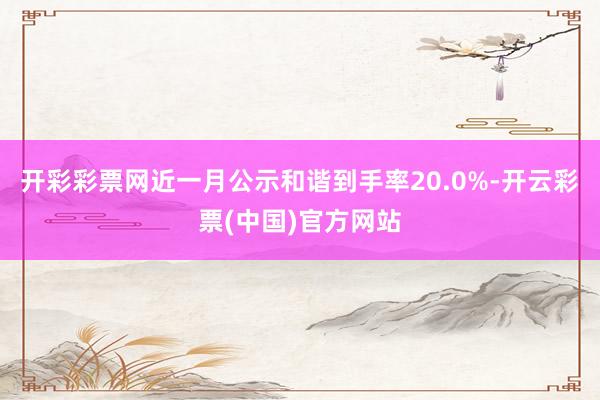 开彩彩票网近一月公示和谐到手率20.0%-开云彩票(中国)官方网站