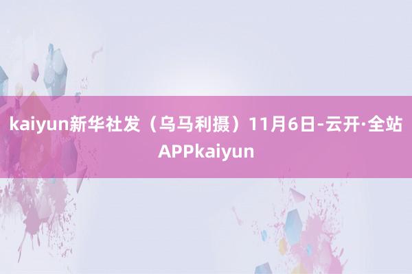 kaiyun　　新华社发（乌马利摄）　　11月6日-云开·全站APPkaiyun