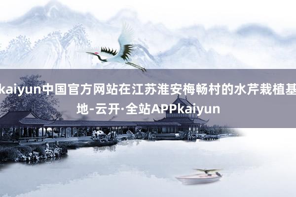 kaiyun中国官方网站在江苏淮安梅畅村的水芹栽植基地-云开·全站APPkaiyun